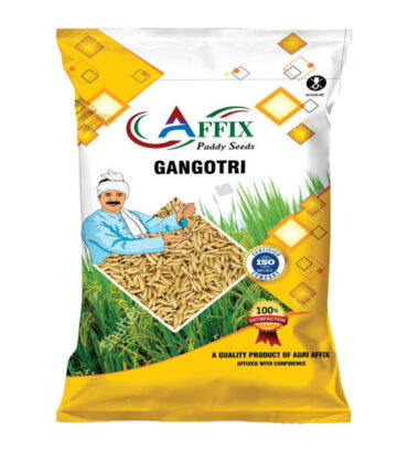 GANGOTRI (गंगोत्री)
