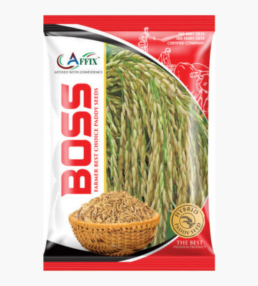 BOSS (बॉस)