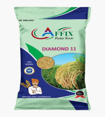 DIAMOND-11 (डायमंड-11)