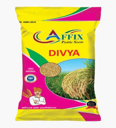 DIVYA (दिव्या)   