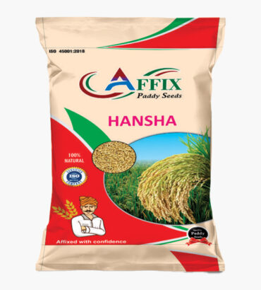 HANSHA (हंसा)