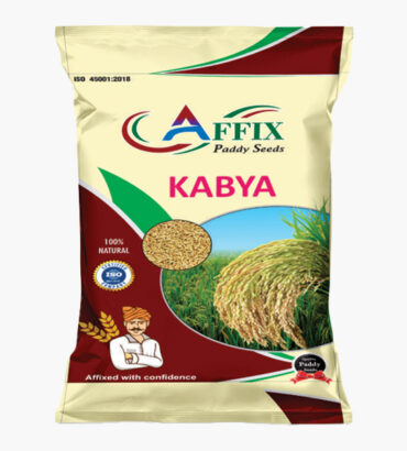 KABYA (काब्या)