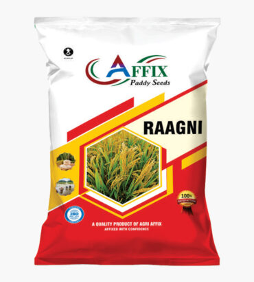 RAAGNI (रागनी)