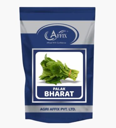 Bharat Spinach (पालक) भारत