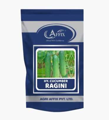 Ragni रागनी