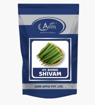 Shivam Okra (भिंडी) शिवम