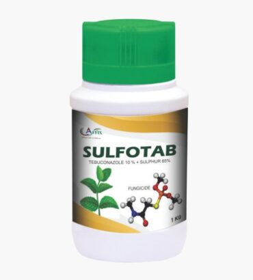 Sulfotab - Tebuconazole 10% WP + Sulphur 65 WG
